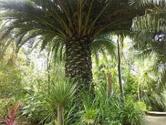 130 Ile de Batz Jardin Georges Delaselle_000024